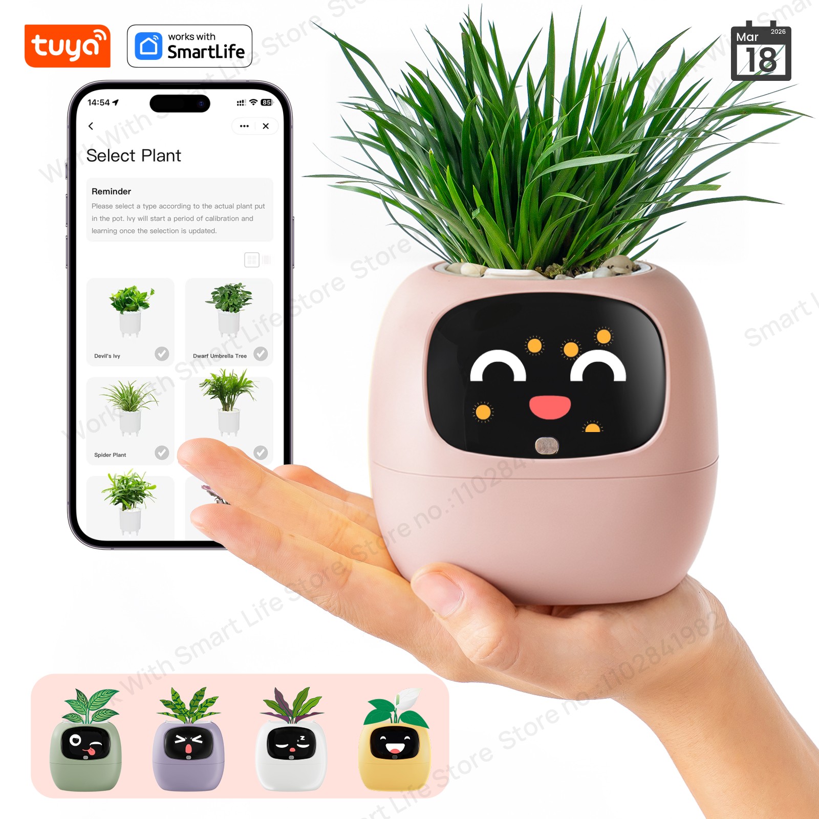 NEW Tuya Ivy